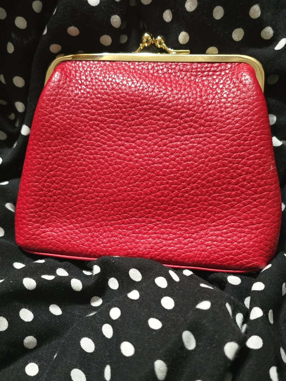 Dooney & Bourke Kiss Lock Coin Pouch
